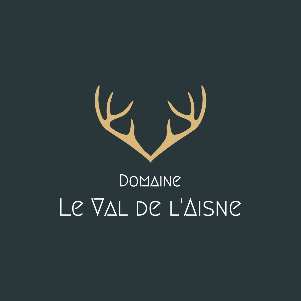 Domaine Le Val de l'Aisne